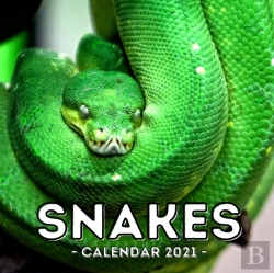 Bertrand.pt - Snake Calendar 2021