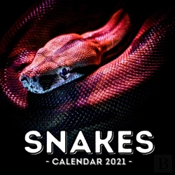 Bertrand.pt - Snake Calendar 2021