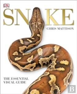 Bertrand.pt - Snake