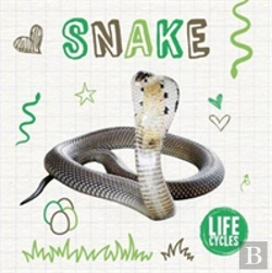 Bertrand.pt - Snake
