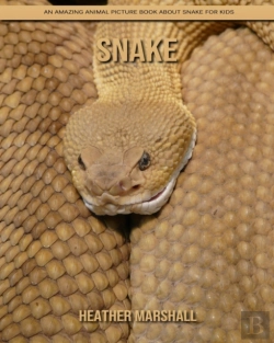 Bertrand.pt - Snake