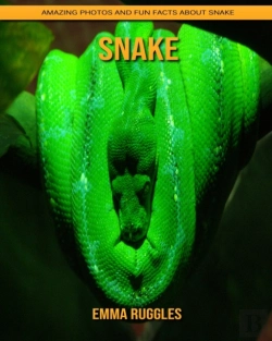 Bertrand.pt - Snake