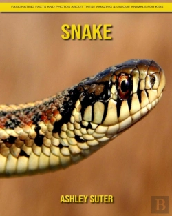 Bertrand.pt - Snake
