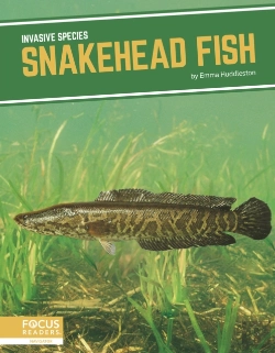 Bertrand.pt - Snakehead Fish