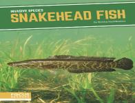 Snakehead Fish