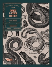 Snakes And Other Reptiles