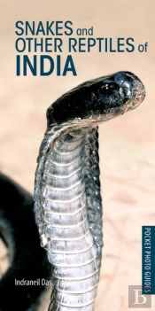 Snakes And Other Reptiles Of India
