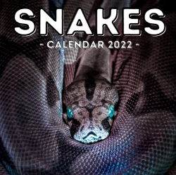 Bertrand.pt - Snakes Calendar 2022
