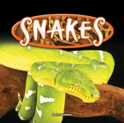 Bertrand.pt - Snakes