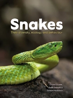 Bertrand.pt - Snakes