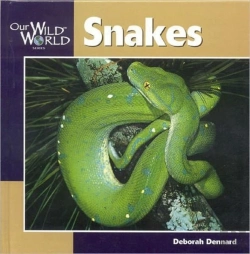 Bertrand.pt - Snakes