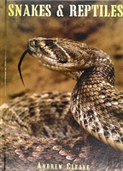 Bertrand.pt - Snakes & Reptiles