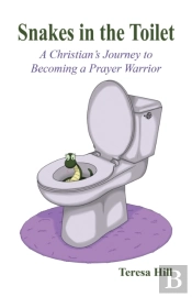 Snakes In The Toilet: A Christian'S Jour
