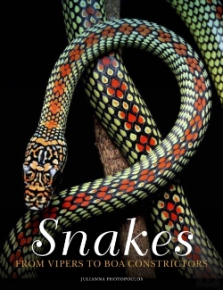 Bertrand.pt - Snakes