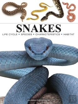 Bertrand.pt - Snakes
