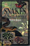 Snakes Of North America