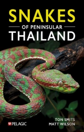 Snakes Of Peninsular Thailand