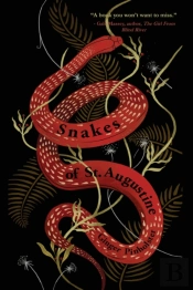 Snakes Of St. Augustine