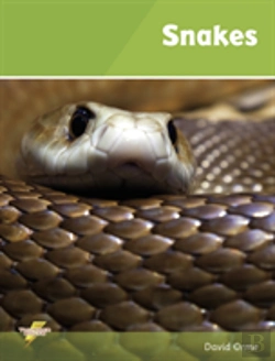 Bertrand.pt - Snakes