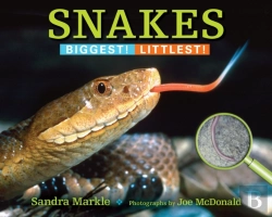 Bertrand.pt - Snakes