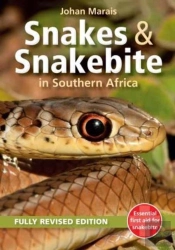 Snakes Snakebite In Southern Africa