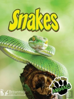 Bertrand.pt - Snakes