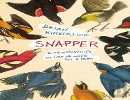 Snapper