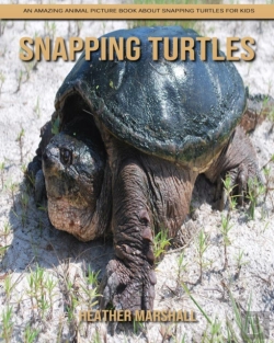 Bertrand.pt - Snapping Turtles