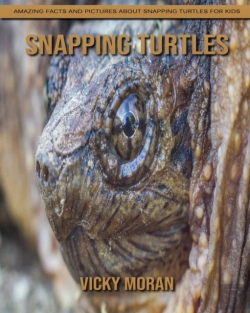 Bertrand.pt - Snapping Turtles