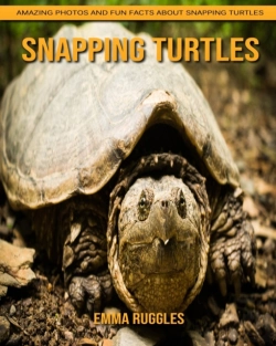 Bertrand.pt - Snapping Turtles