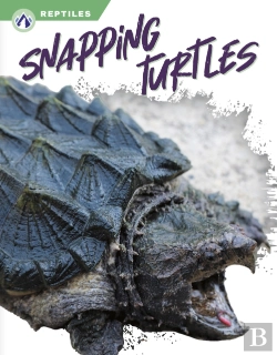 Bertrand.pt - Snapping Turtles