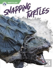 Snapping Turtles