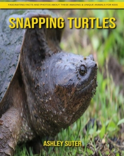 Bertrand.pt - Snapping Turtles