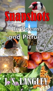 Snapshots