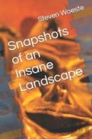 Snapshots Of An Insane Landscape