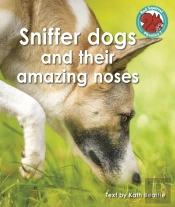 Sniffer Dogs And Their Amazing Noses