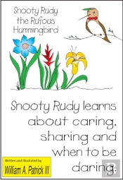 Snooty Rudy The Rufous Hummingbird