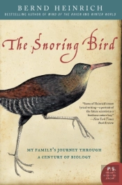 Snoring Bird