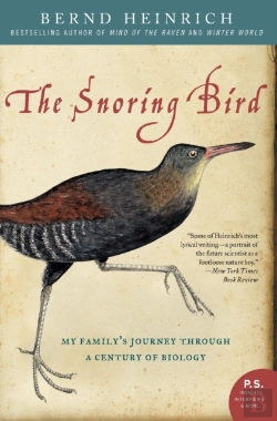 Bertrand.pt - Snoring Bird