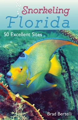 Bertrand.pt - Snorkeling Florida