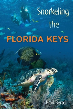 Bertrand.pt - Snorkeling The Florida Keys