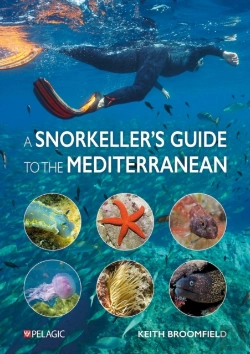 Bertrand.pt - Snorkeller'S Guide To The Mediterranean
