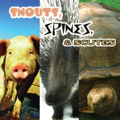 Snouts, Spines, And Scutes