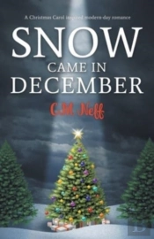Snow Came In December