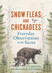 Snow Fleas And Chickadees