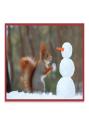 Snow Friends Notecards