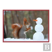 Snow Friends Notecards