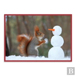 Bertrand.pt - Snow Friends Notecards