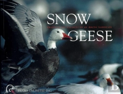 Bertrand.pt - Snow Geese