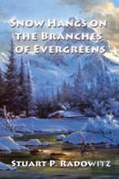 Snow Hangs On The Branches Of Evergreens